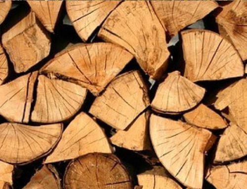 Vente publique de bois de chauffage à destination des particuliers : 18 novembre à Ebly