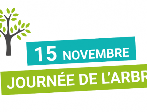 Journée de l’Arbre – Distribution gratuite d’arbres fruitiers ce 15/11, de 9h à 11h !
