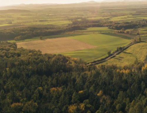 L’agriculture à Léglise : les chiffres