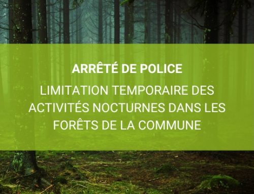 Présence du loup : mesure de précaution pour les camps de jeunesse